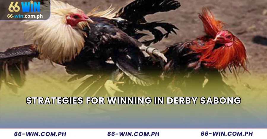 Strategies for Winning in Derby Sabong